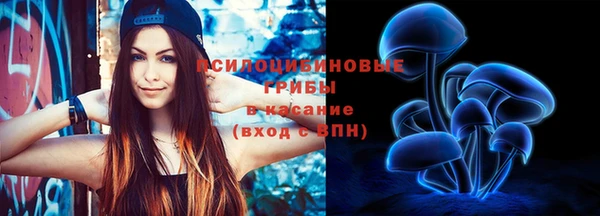 мет Ельня
