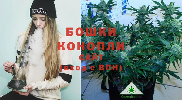 прущая мука Елабуга
