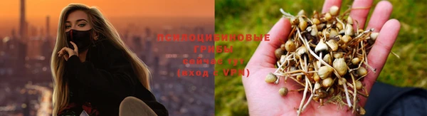 мет Ельня