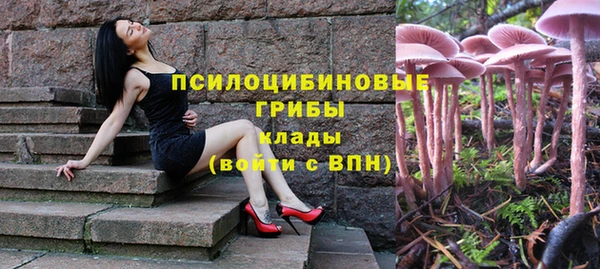прущая мука Елабуга