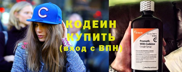 мет Ельня